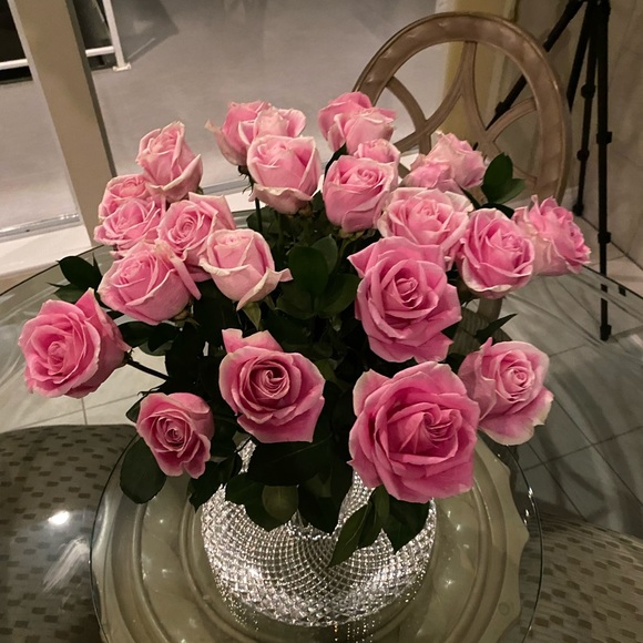 Meet your Posher, Mike n lori - Picture 3 of 3